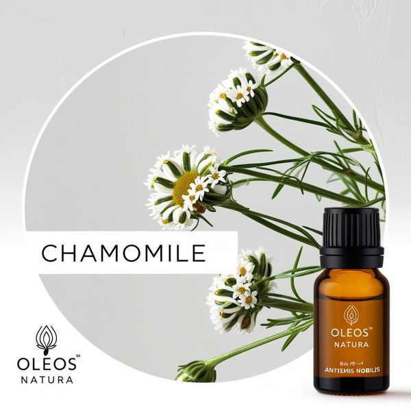 Óleo Essencial CAMOMILA - CHAMOMILE