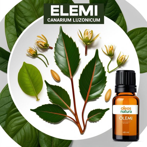 Óleo Essencial Elemi - Canarium Luzonicum