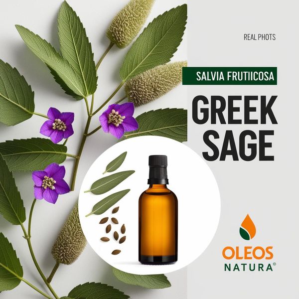 Óleo Essencial SÁlvia Grega - Greek Sage