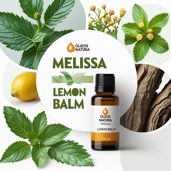 Óleo Essencial Melissa BÁlsamo LimÃo - Melissa Lemon Balm