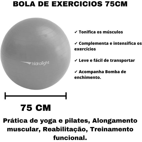 Bola de exercícios 65cm Roxa - Hidrolight