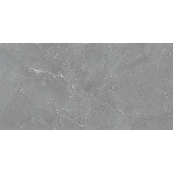 Porcelanato Delta Granada Gray Polido 60X120
