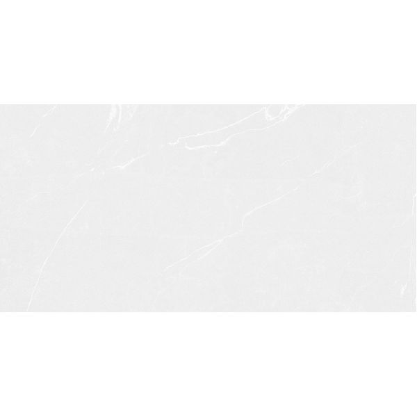 Porcelanato Delta Mont Blanc In 60X120