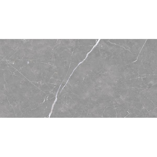 Porcelanato Delta Venato Grigio In 60X120