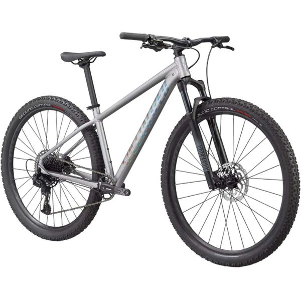 Bicicleta Rockhopper Expert 29 2021 Prata Holográfico Tam-M