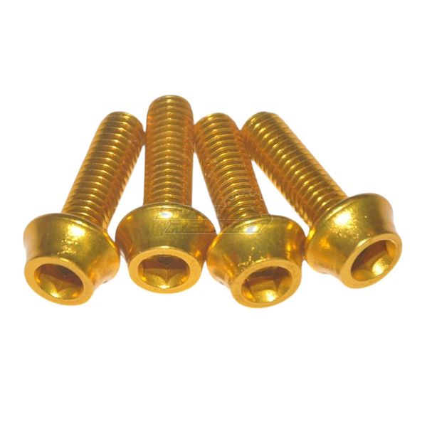 Kit Parafuso Suporte De Garrafa Tk-b516 4 Peças Dourado Token