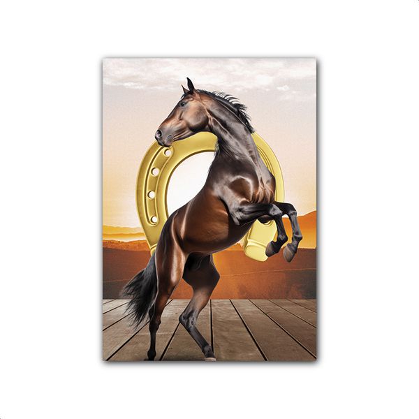 Capa Retangular Sublimados Tema Cavalo 3104