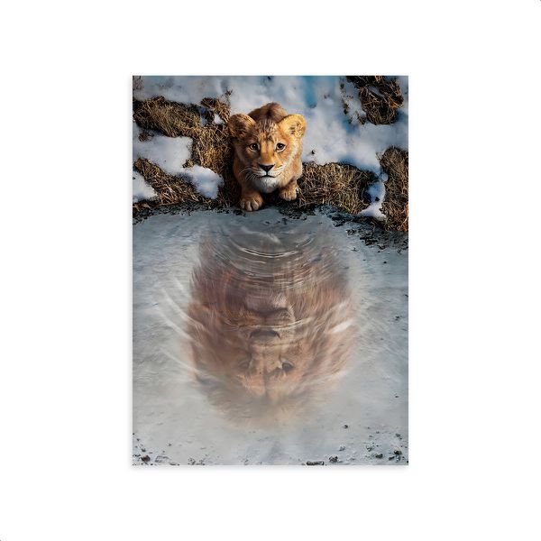 Capa Painel Retangular Sublimado Tema Mufasa 2254