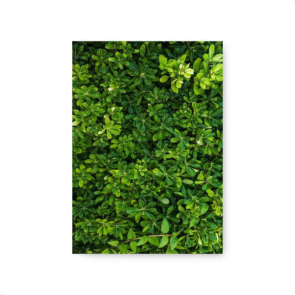 Capa Painel Retangular Sublimado Tema Muro Inglês /Fundo Folhagem 168