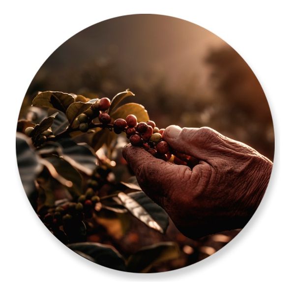 Painel Redondo 50x50 - Fazenda Agro