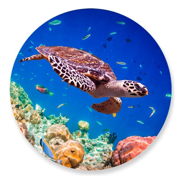 Painel Redondo 50x50 - Fundo do Mar
