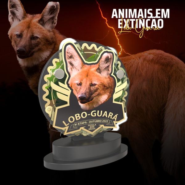 DESAFIO ANIMAIS EM EXTINÇÃO- TROFÉU LOBO GUARÁ