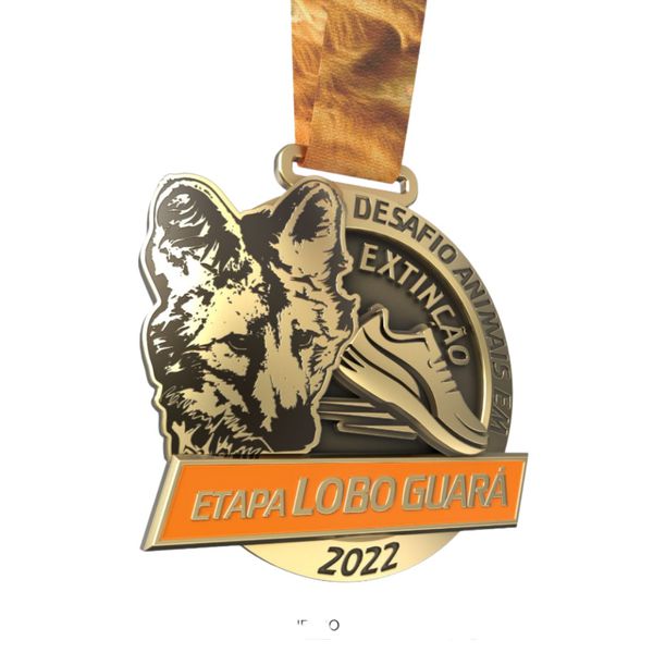 DESAFIO ANIMAIS EM EXTINÇÃO- ETAPA LOBO GUARÁ RUN
