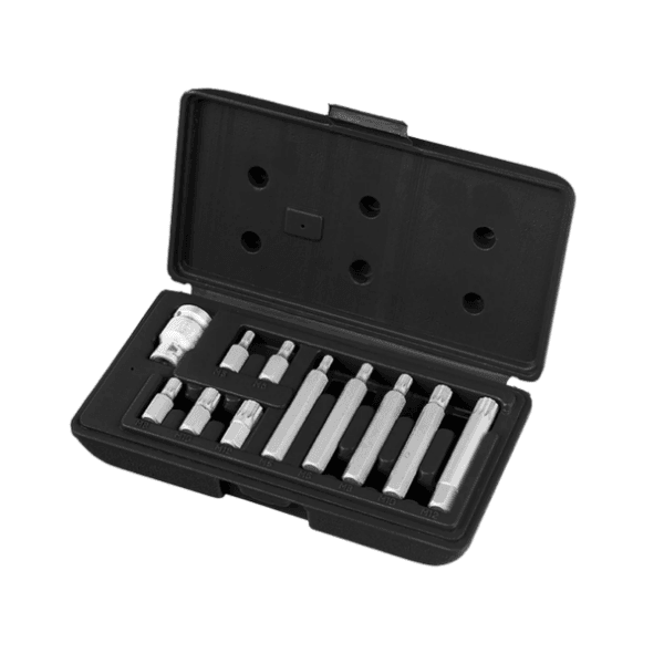 Cx de Bits Multidentada Adap 1/2 x 10mm