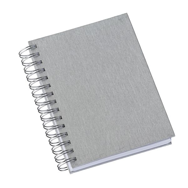 Agenda Diária 2025