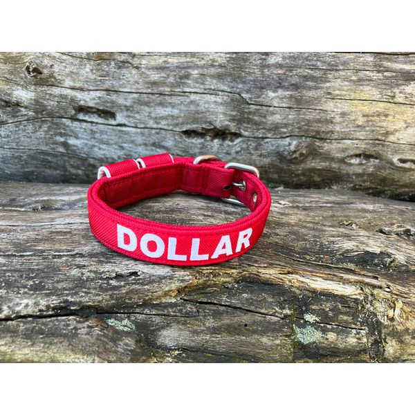 COLEIRA BABY PERSONALIZADA 3cm vermelha com nome em branco