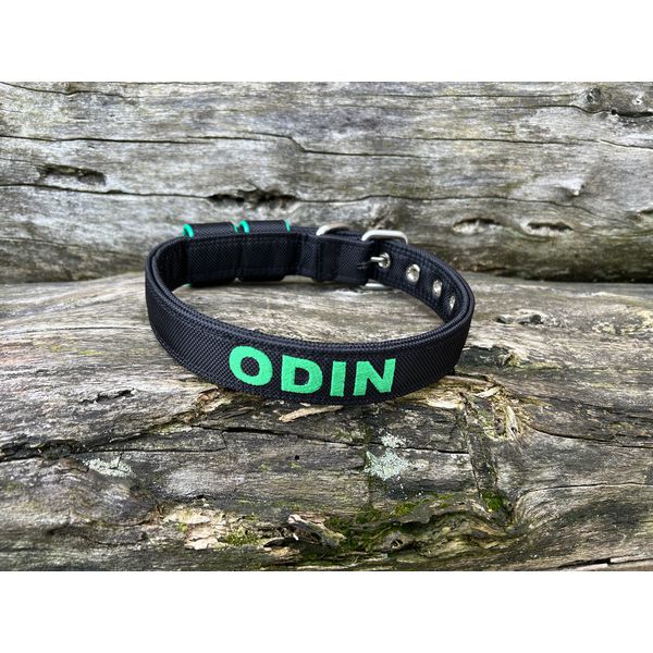 COLEIRA BABY PERSONALIZADA 3cm preta com nome em verde bandeira