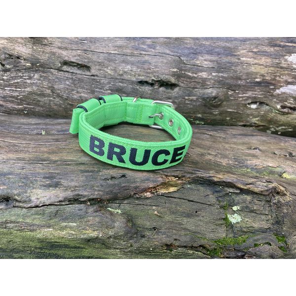 COLEIRA BABY PERSONALIZADA 3cm verde fluorescente com nome em preto
