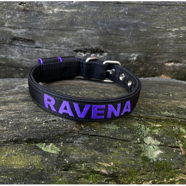 COLEIRA BABY PERSONALIZADA 3cm preta com nome roxo