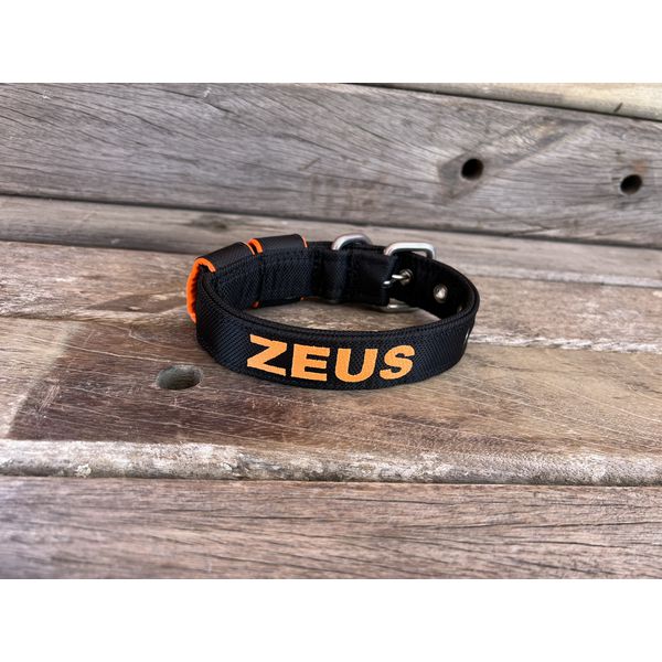 COLEIRA BABY PERSONALIZADA 3cm preta com nome em laranja fluorescente