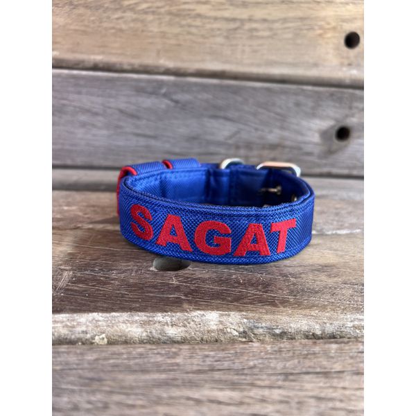 COLEIRA BABY PERSONALIZADA 3cm azul com nome em vermelho