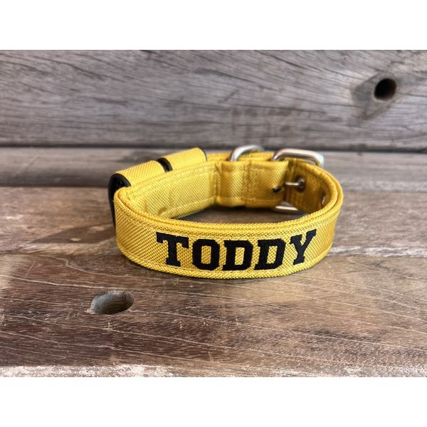 COLEIRA BABY PERSONALIZADA 3cm amarela com nome em preto