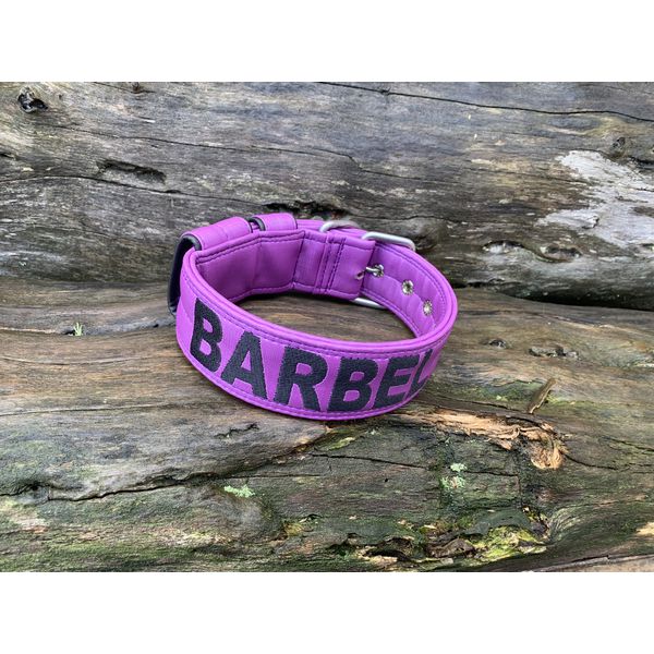COLEIRA PERSONALIZADA 5cm roxa com nome em preto
