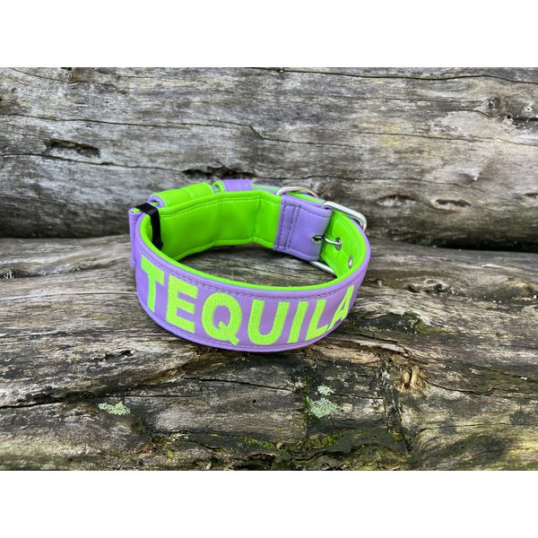 COLEIRA PERSONALIZADA 5cm lilás/verde fluorescente com nome em verde fluorescente