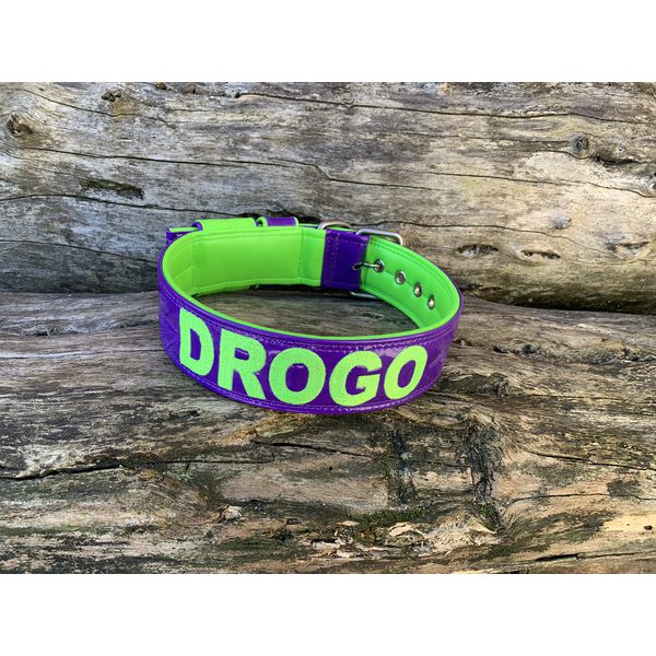 COLEIRA PERSONALIZADA 5cm roxa/verde fluorescente com nome em verde fluorescente
