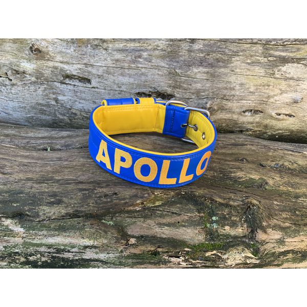 COLEIRA PERSONALIZADA 5cm azul/amarelo com nome em amarelo petróleo