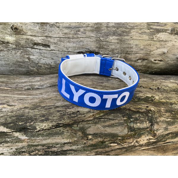 COLEIRA PERSONALIZADA 5cm azul/branca com nome em branco