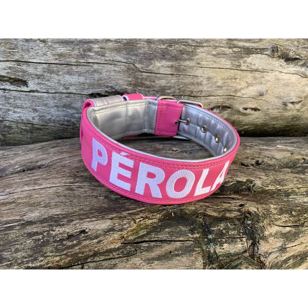 COLEIRA PERSONALIZADA 5cm rosa/prata com nome em prata