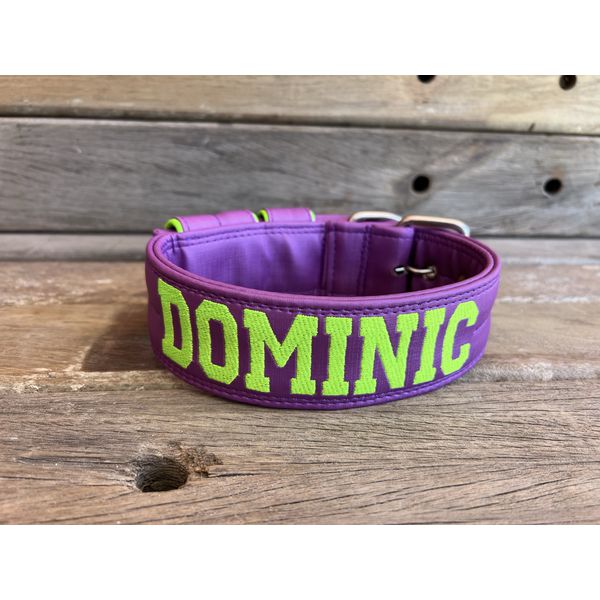 COLEIRA PERSONALIZADA 5cm roxa com nome em verde fluorescente
