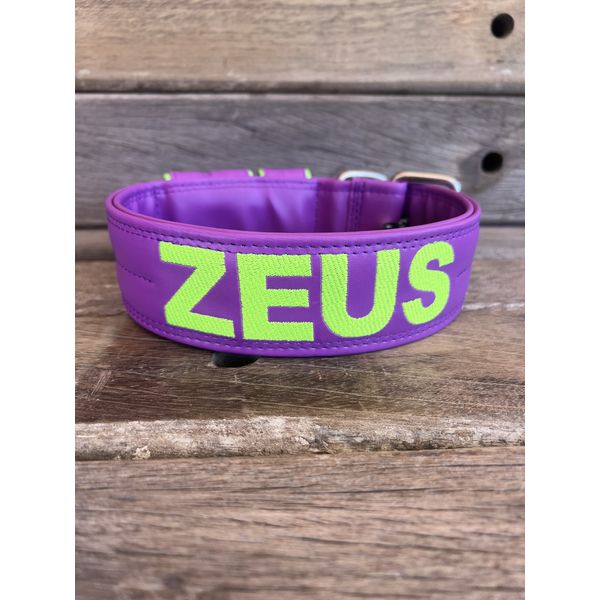 COLEIRA PERSONALIZADA 5cm roxa com nome em verde fluorescente