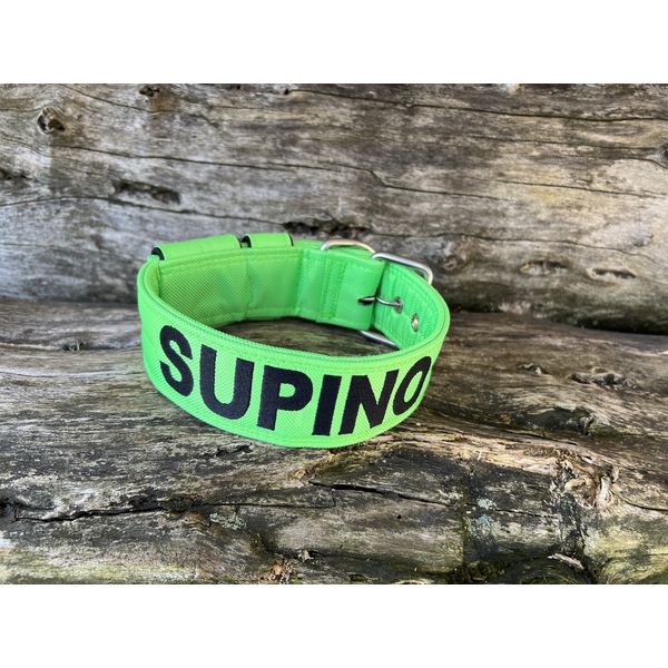 COLEIRA PERSONALIZADA 5cm verde fluorescente com nome em preto