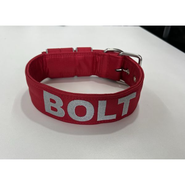 COLEIRA PERSONALIZADA 5cm vermelha com nome em prata