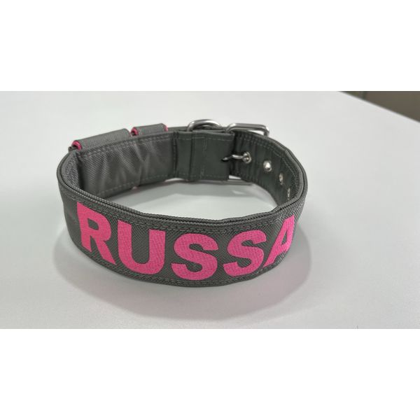 COLEIRA PERSONALIZADA 5cm cinza chumbo com nome em rosa