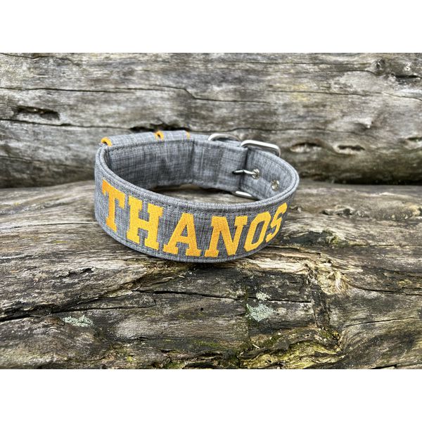 COLEIRA PERSONALIZADA 5cm cinza riscado com nome em amarelo petróleo