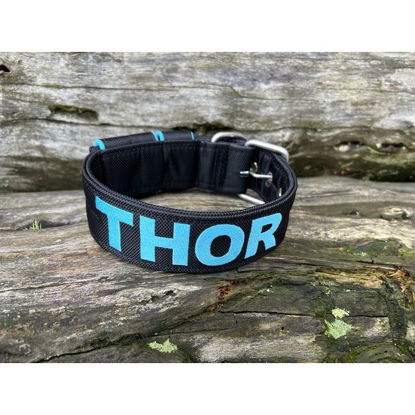COLEIRA PERSONALIZADA 5cm preto com nome azul bebê