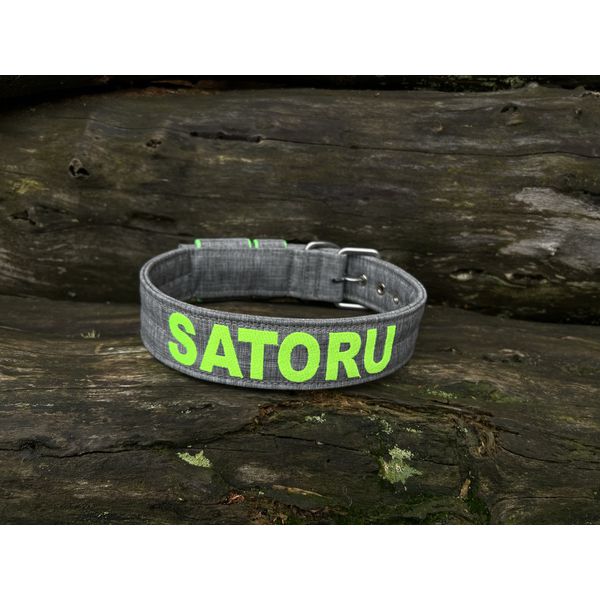 COLEIRA PERSONALIZADA 5cm cinza riscado com nome em verde fluorescente