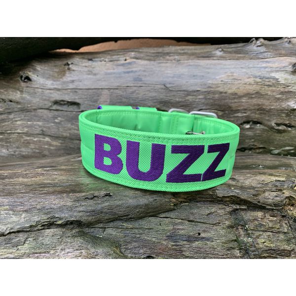 COLEIRA PERSONALIZADA 5cm verde fluorescente com nome em roxo