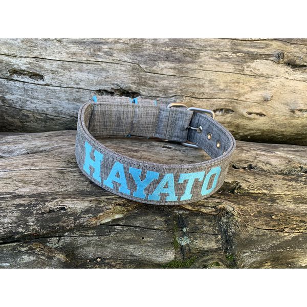 COLEIRA PERSONALIZADA 5cm cinza riscado com nome em azul bebê