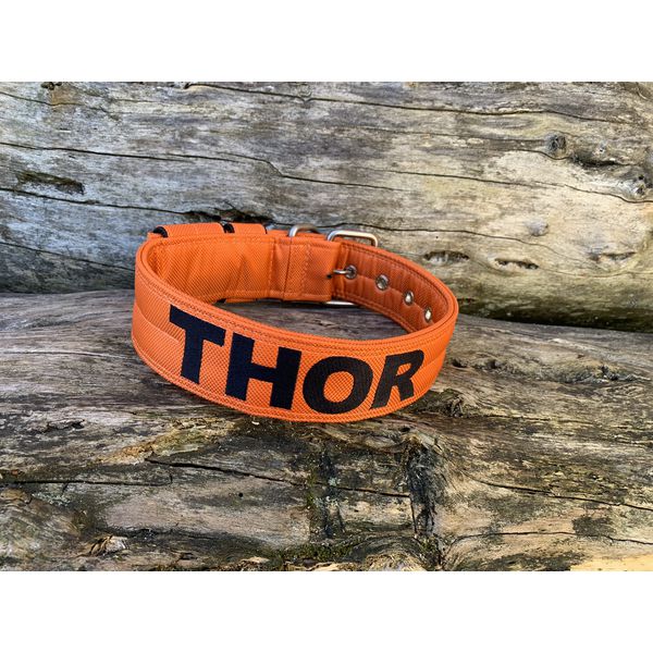 COLEIRA PERSONALIZADA 5cm laranja com nome em preto