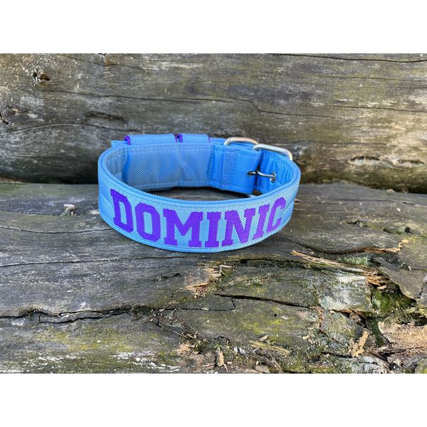 COLEIRA PERSONALIZADA 5cm azul bebê com nome em roxo