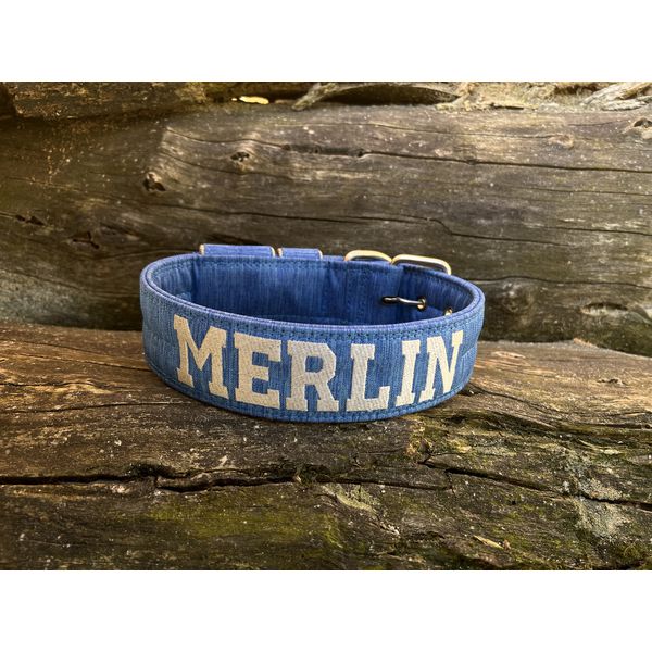 COLEIRA PERSONALIZADA 5cm azul riscado com nome em prata