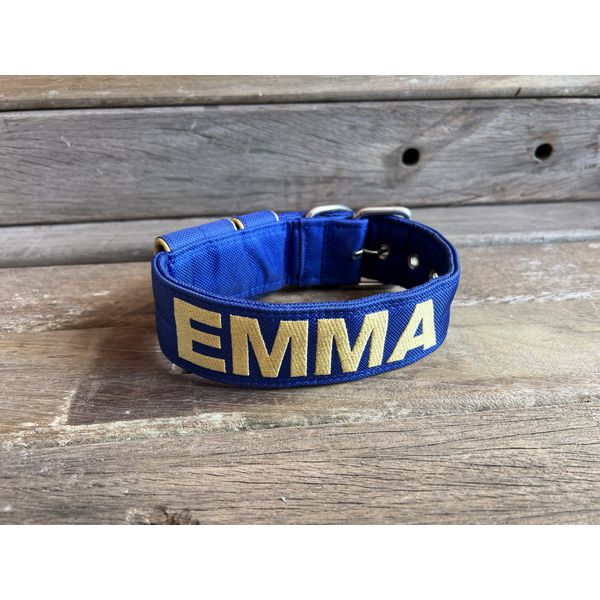 COLEIRA PERSONALIZADA 5cm azul bic com nome em dourado