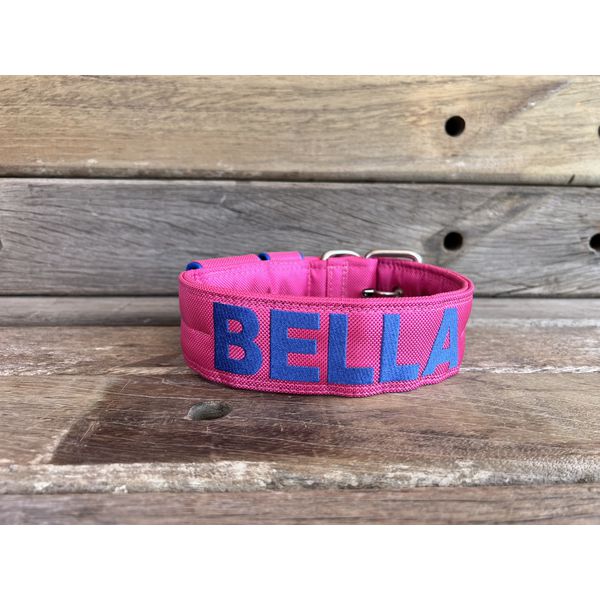 COLEIRA PERSONALIZADA 5cm rosa com nome em azul bic