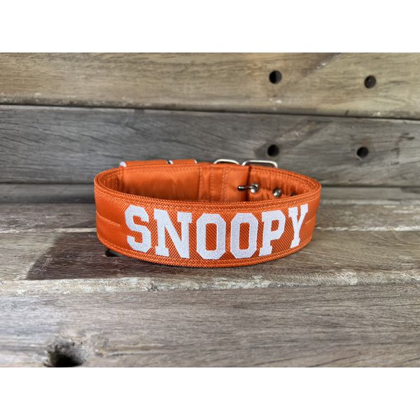 COLEIRA PERSONALIZADA 5cm laranja com nome em branco