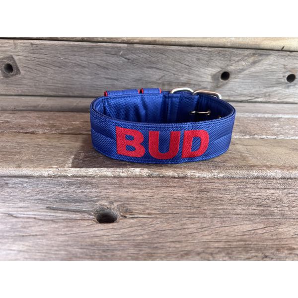 COLEIRA PERSONALIZADA 5cm azul bic com nome em vermelho 