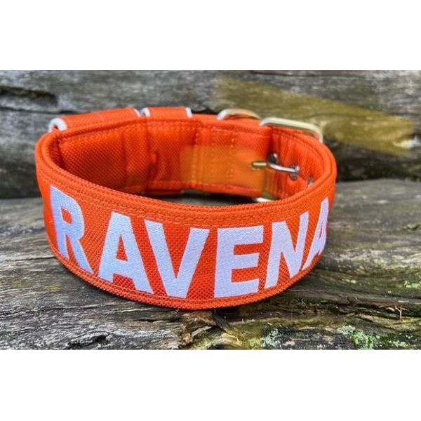 COLEIRA PERSONALIZADA 5cm laranja com nome em branco